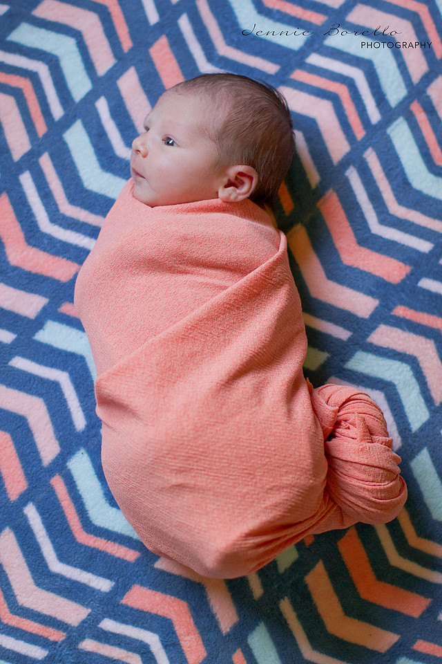 portland, Oregon newborn and family photography