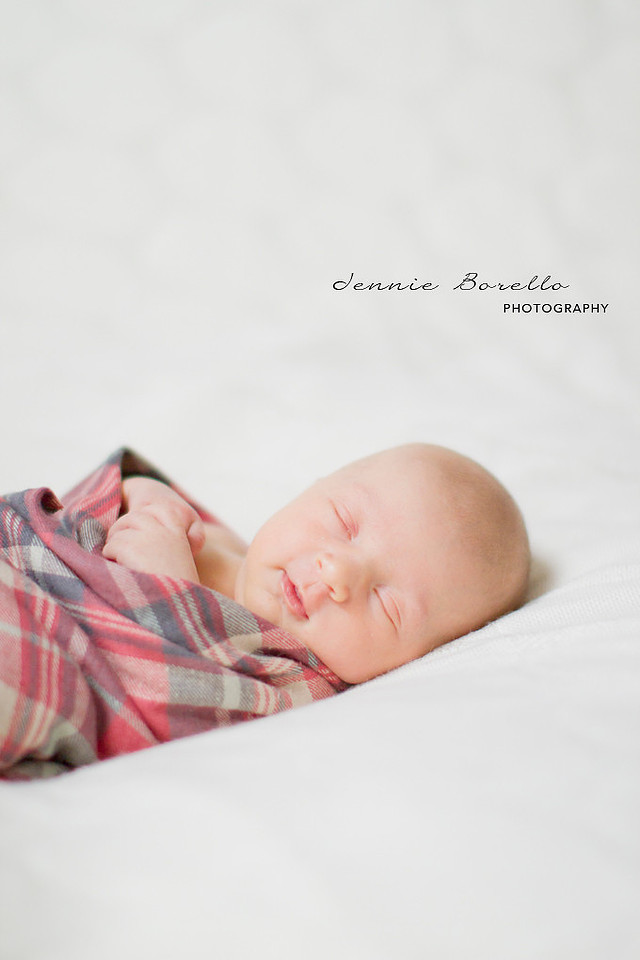 Portland Newborn Photography