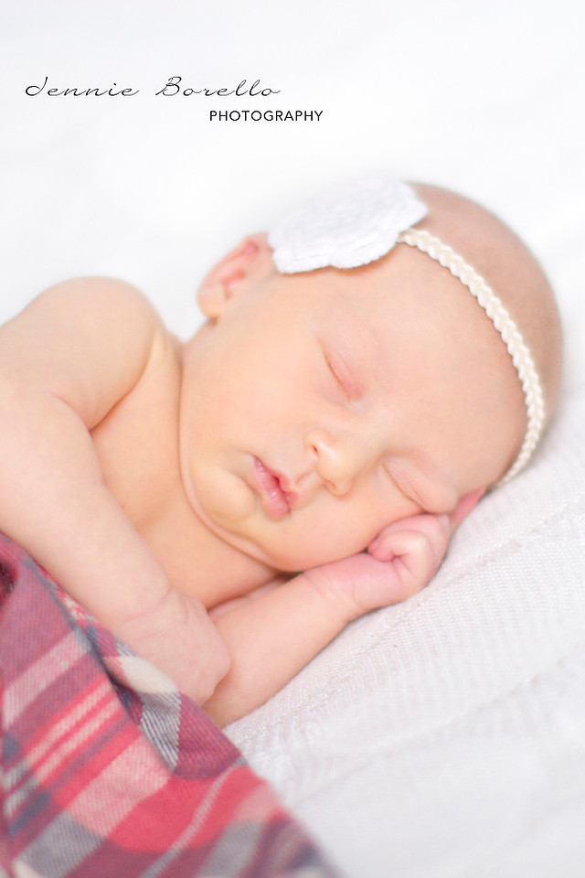 Portland Newborn Photography