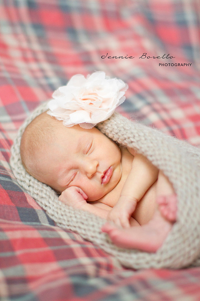 Portland Newborn Photography