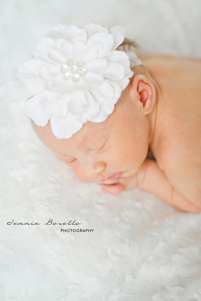 Portland Newborn Photography