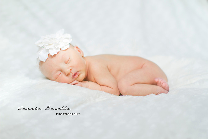 Portland Newborn Photography