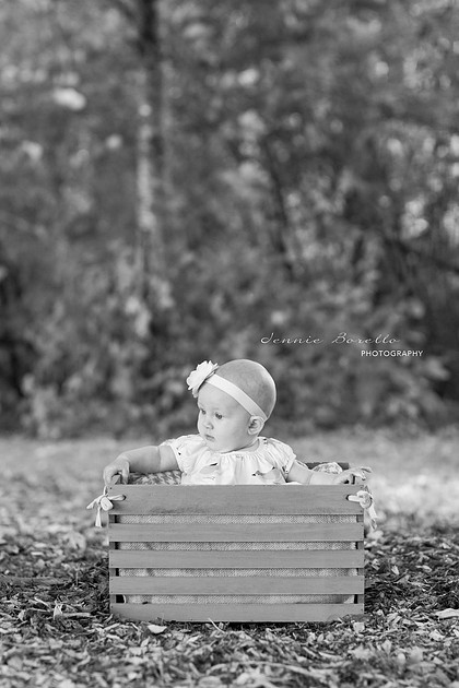 Portland and Beaverton Children's Photographer