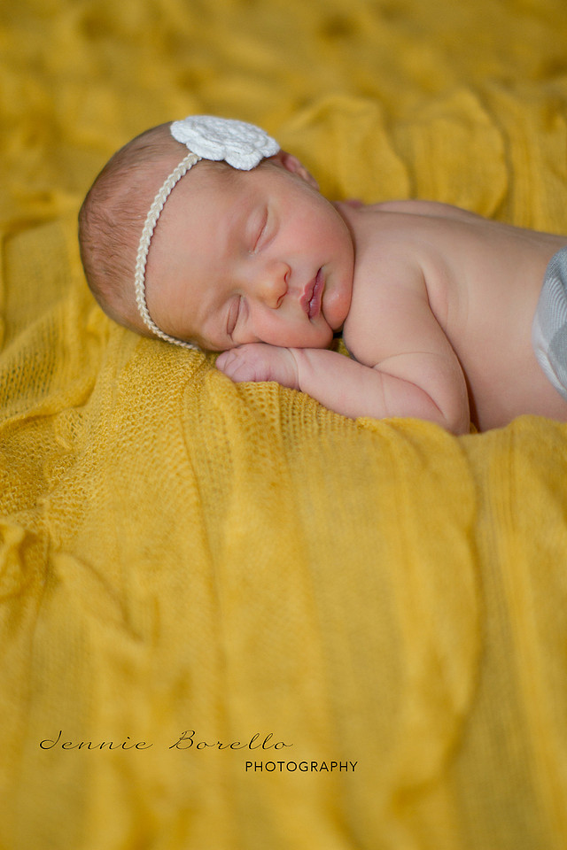 Portland, Oregon Newborn Photographer