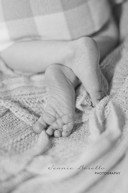 Portland, Oregon Newborn Photographer