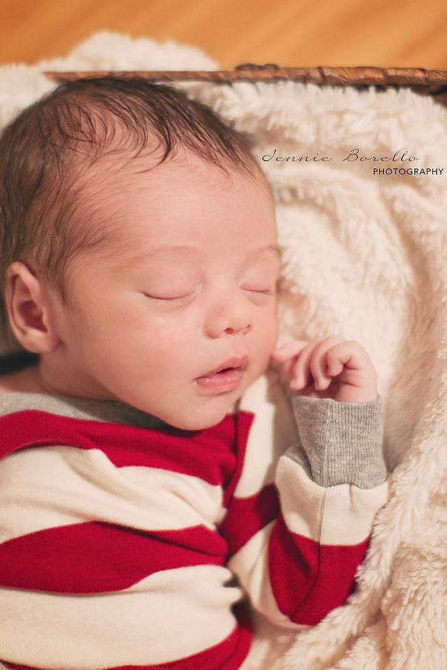 Newborn Baby Photography in Portland, Oregon