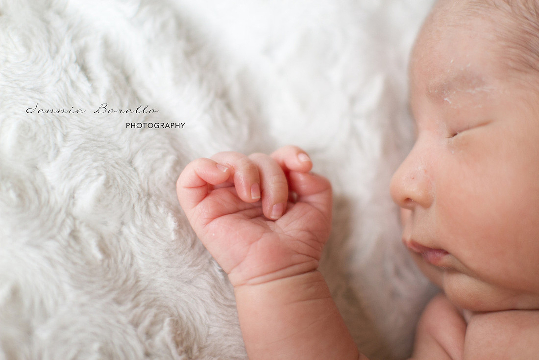 Portland Newborn and Children's Photographer in Wilsonville, Oregon