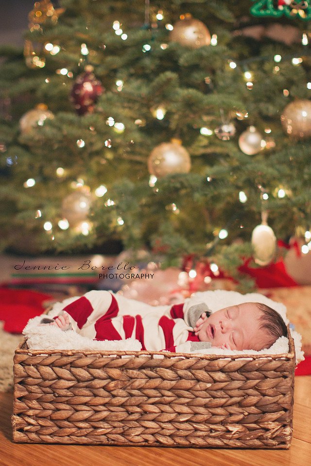 Newborn Baby Photography in Portland, Oregon