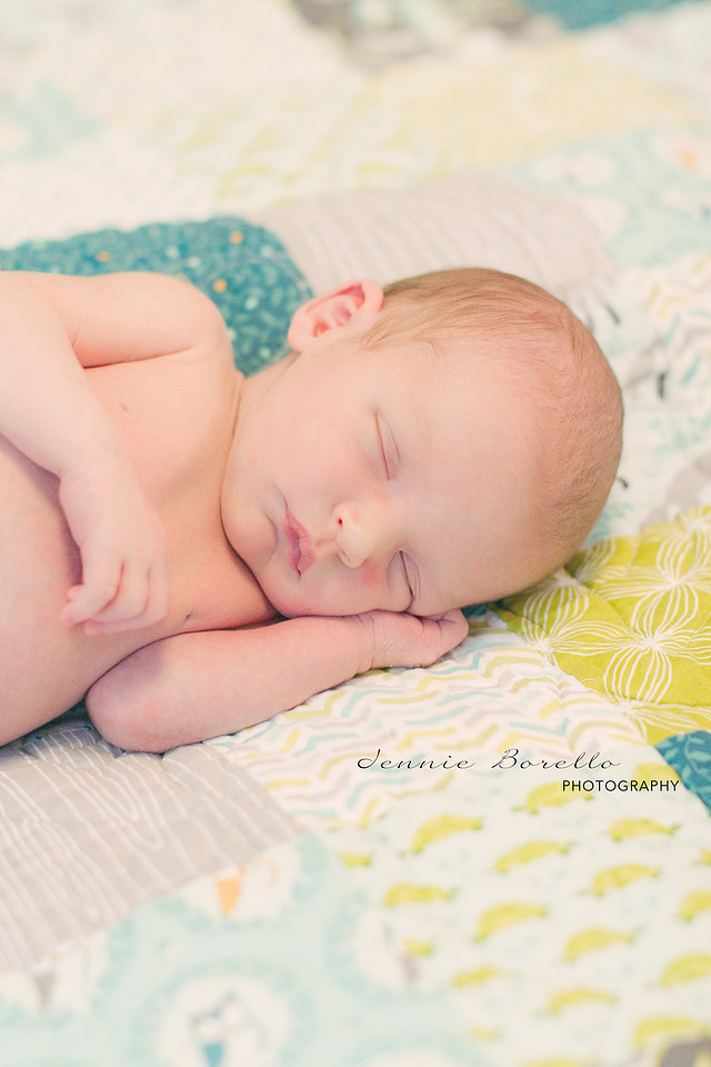 Portland Newborn and Family photographer.