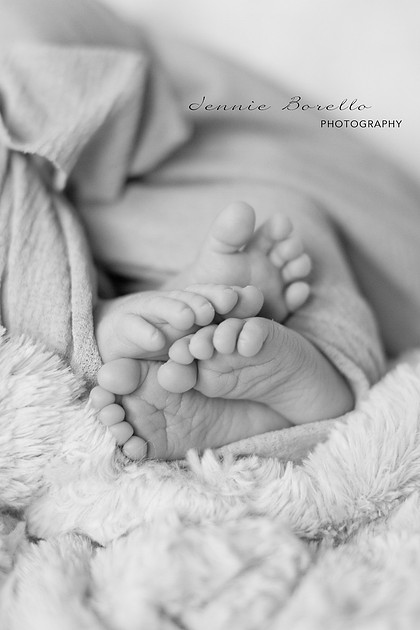 Portland, Oregon Newborn Twin Photography in SW Portland
