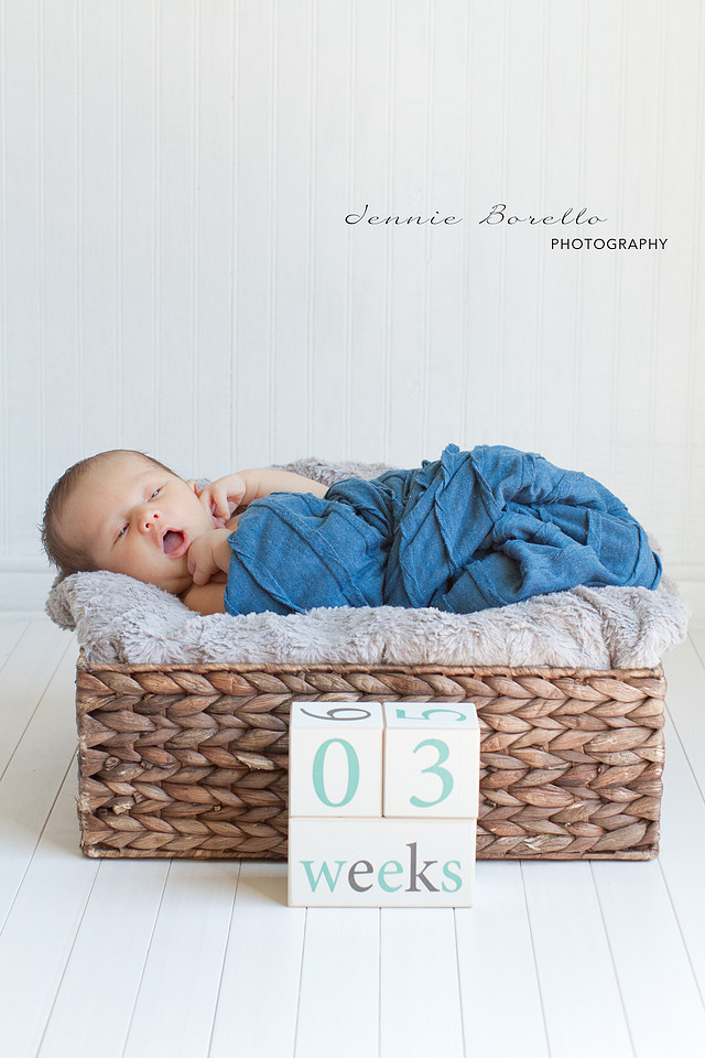 Portland Newborn and Family Photographer