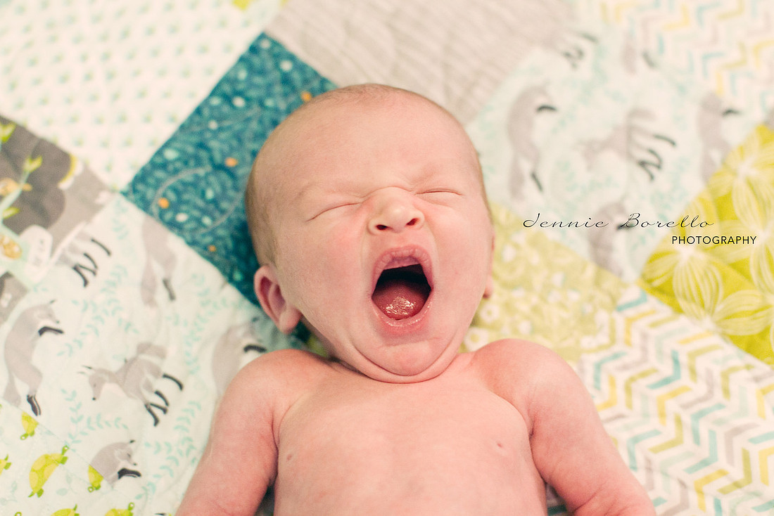 Portland Newborn and Family photographer.
