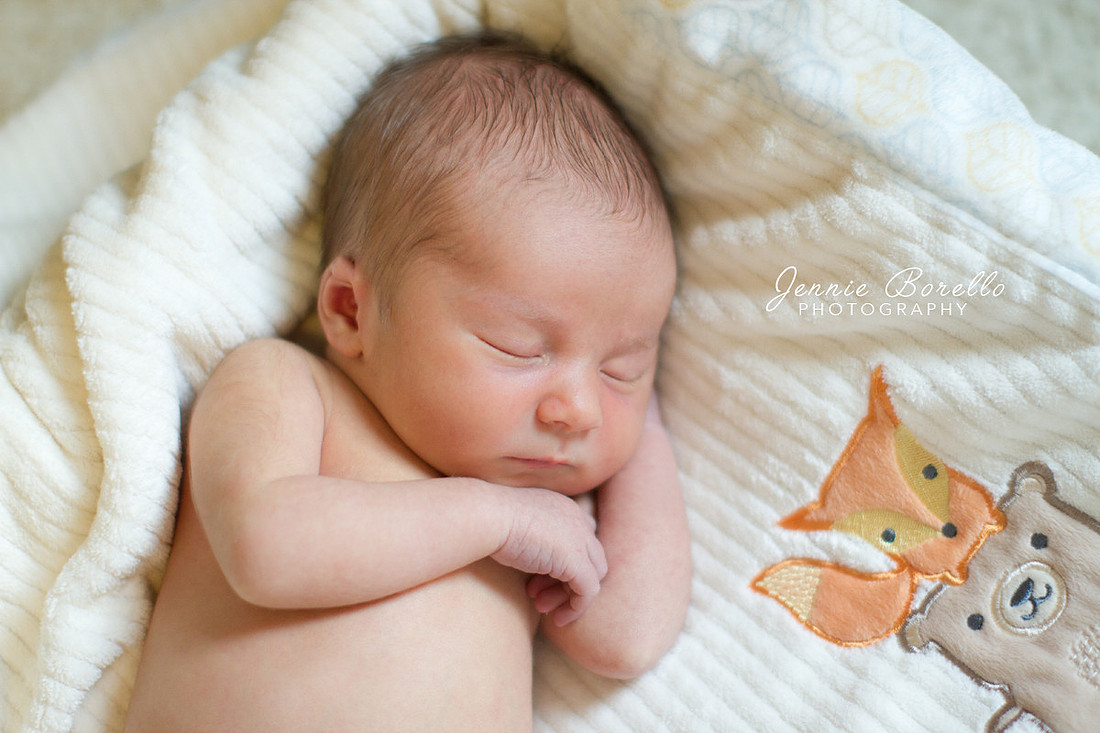 Newborn and Children's Photographer in Portland, Oregon