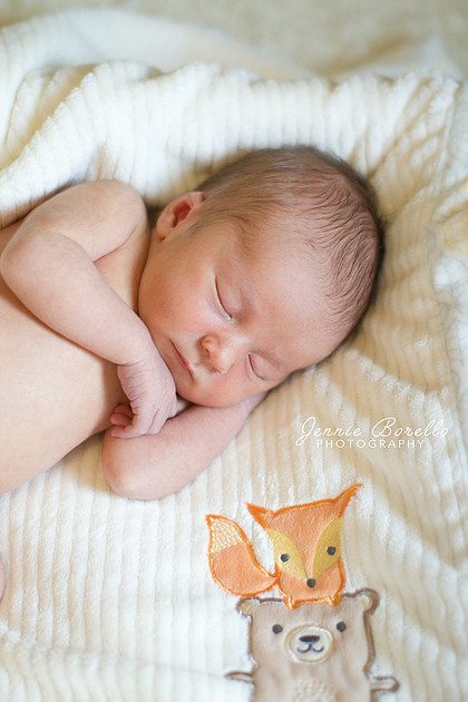 Newborn and Children's Photographer in Portland, Oregon