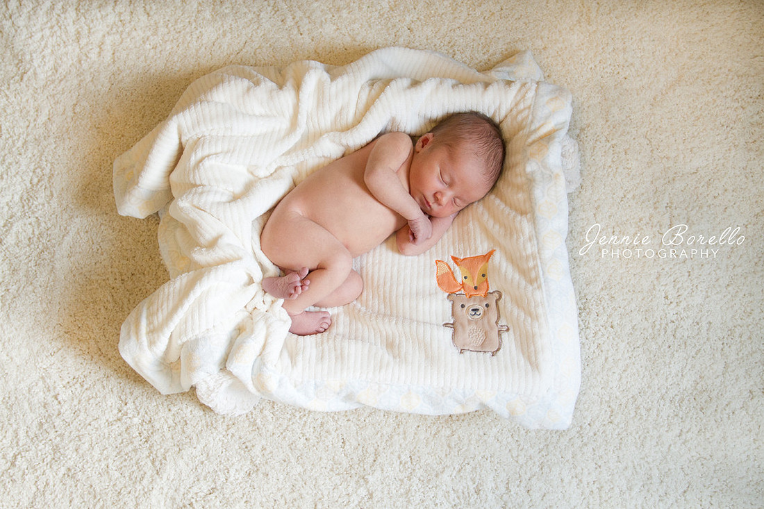 Newborn and Children's Photographer in Portland, Oregon
