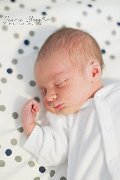 Newborn and Children's Photographer in Portland, Oregon