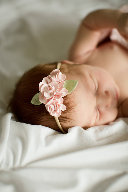 Portland Newborn Photographer
