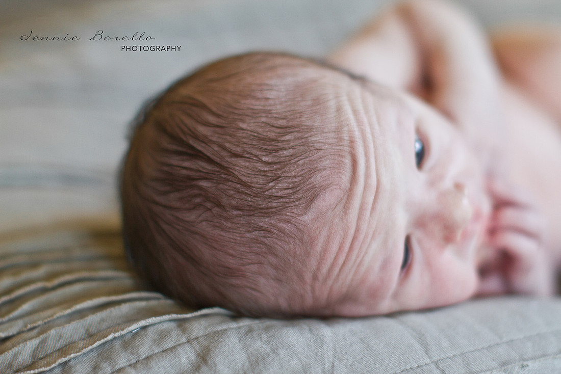 portland, Oregon newborn and family photography