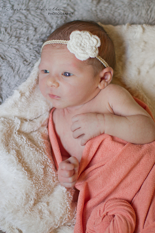 portland, Oregon newborn and family photography