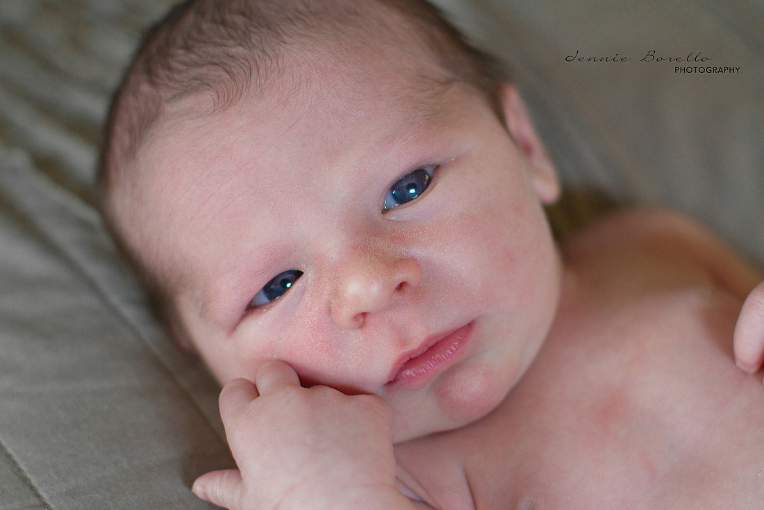 portland, Oregon newborn and family photography