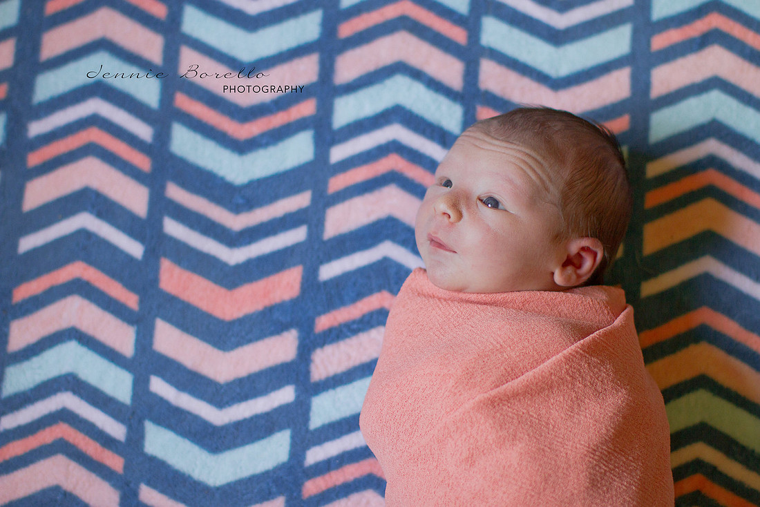 portland, Oregon newborn and family photography